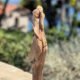sculpture en bois floté d'un couple