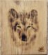 Loup